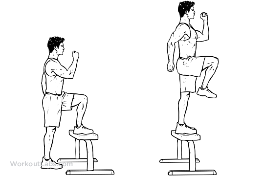 Step_up_with_Knee_Raise