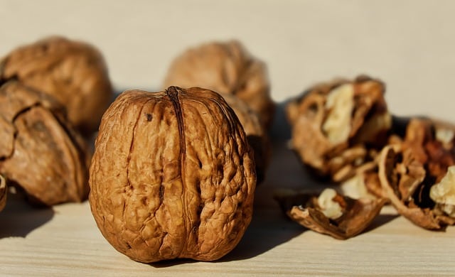 walnut-1739021_640
