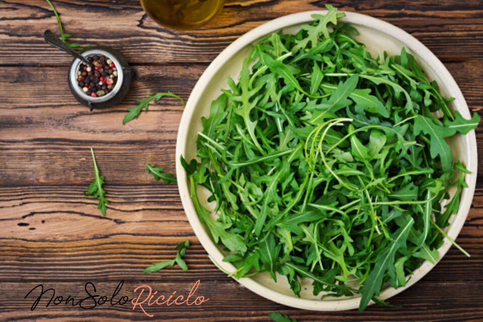 Rucola: Quali Sono I Benefici E Le Proprietà Per Il Nostro Corpo?