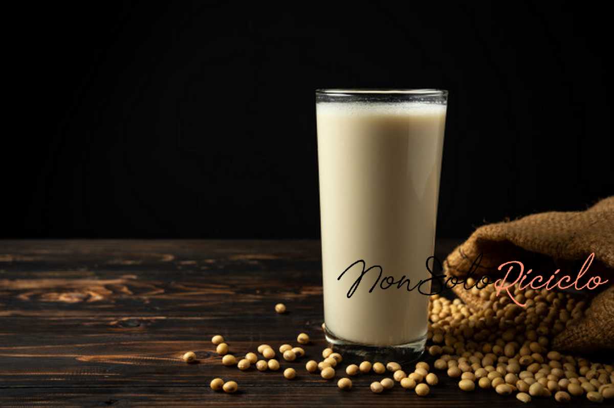il latte vegetale facile da soy milk soy bean wooden table 1150 13413