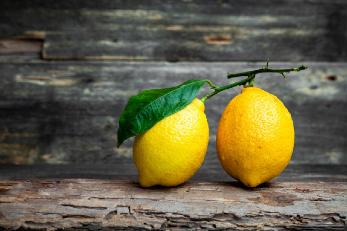 conservare piu a lungo il side view lemons with without leaves dark wooden background horizontal 176474 3876